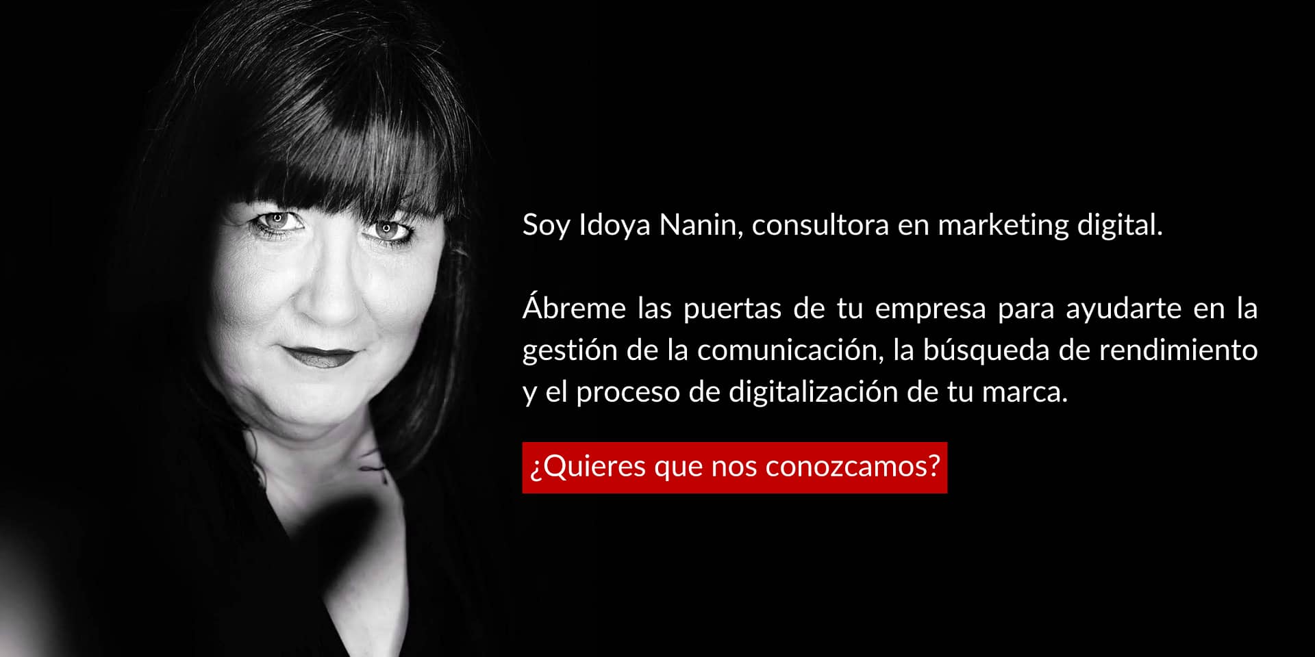 Nanin Consultora marketing digital